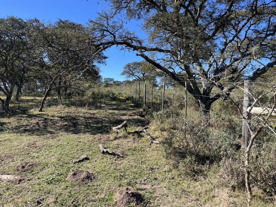0 Bedroom Property for Sale in Stutterheim Rural Eastern Cape